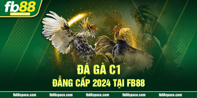 Đá gà C1 đẳng cấp 2024 tại FB88