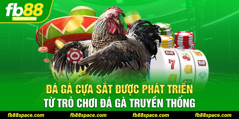 Đá gà cựa sắt được phát triển từ trò chơi đá gà truyền thống