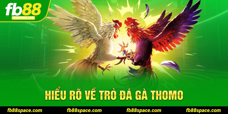 Hiểu rõ về trò đá gà Thomo