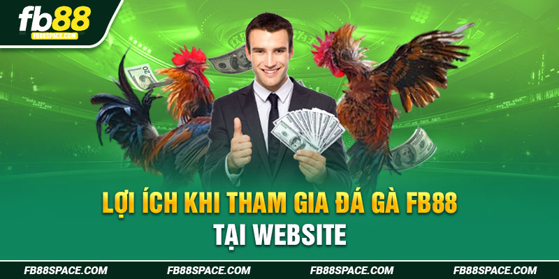 Lợi ích khi tham gia đá gà FB88 tại website