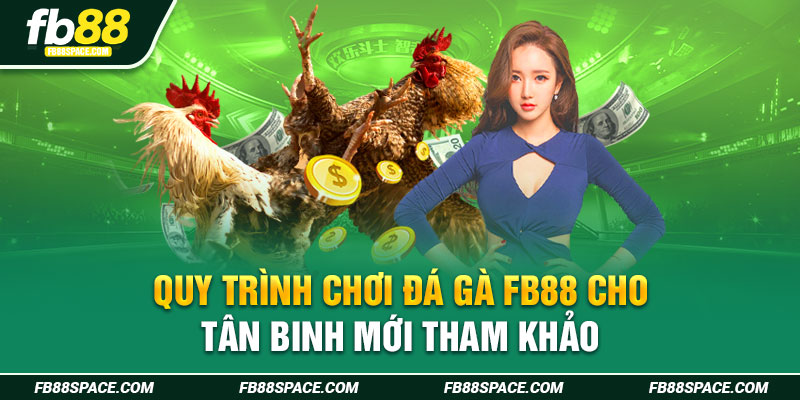 Quy trình chơi đá gà FB88 cho tân binh mới tham khảo