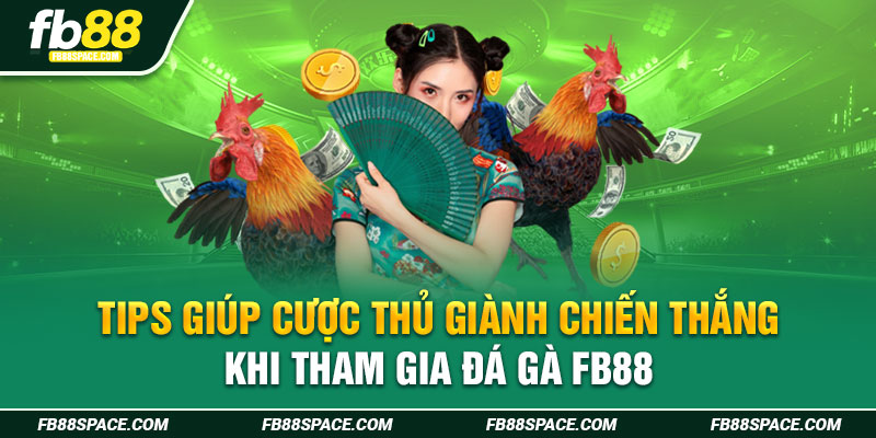 Tips giúp cược thủ giành chiến thắng khi tham gia đá gà FB88