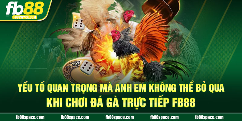 Yếu tố quan trọng mà anh em không thể bỏ qua khi chơi đá gà trực tiếp FB88